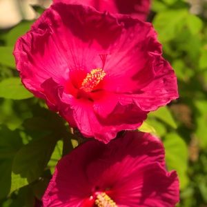 Meet your Posher, RanaG